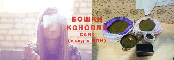 дживик Краснослободск