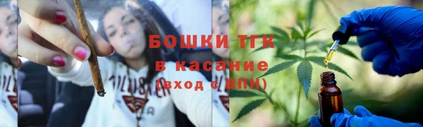 дживик Краснослободск