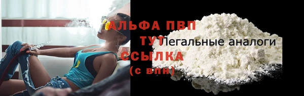дживик Краснослободск