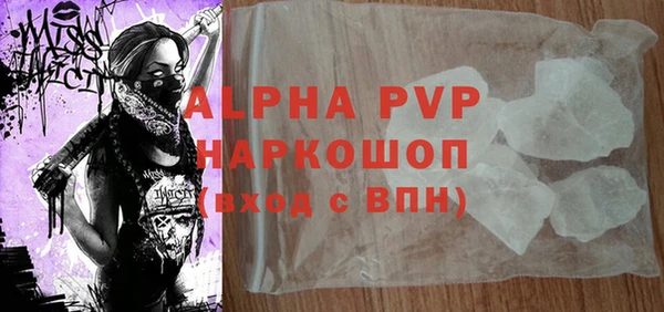 дживик Краснослободск