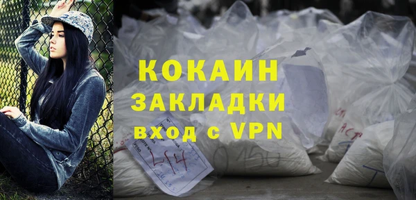 дживик Краснослободск
