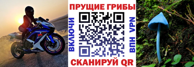 Купить закладки Геленджик Галлюциногенные грибы мицелий